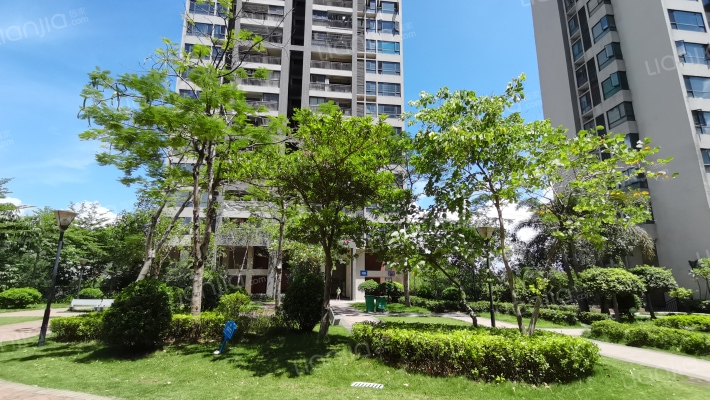 光耀城市山谷外景图