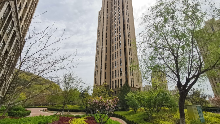 大华锦绣华城六期外景图