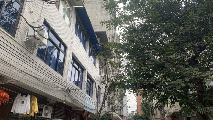 新民西街东八巷1号外景图