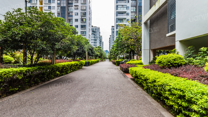 万正西区国际外景图