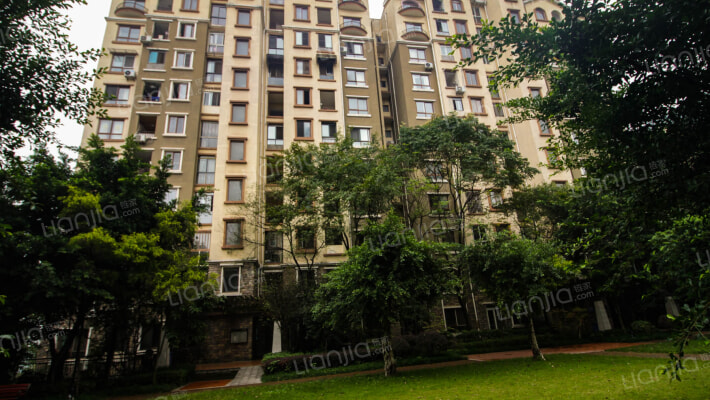 蓝光十里蓝山外景图