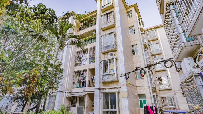 沙凤新村复建楼外景图