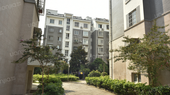 水岸名都丁香园外景图