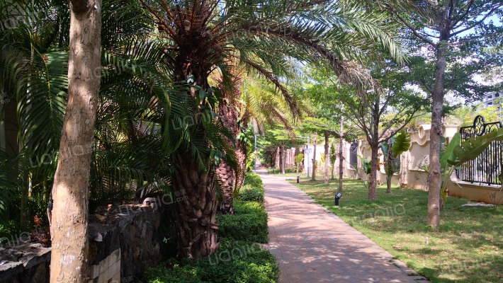 合甲·寰宇海湾6号院外景图