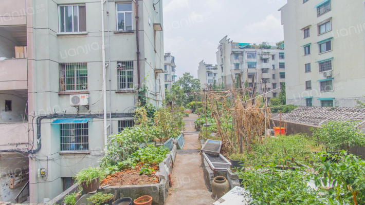 丹南小区外景图