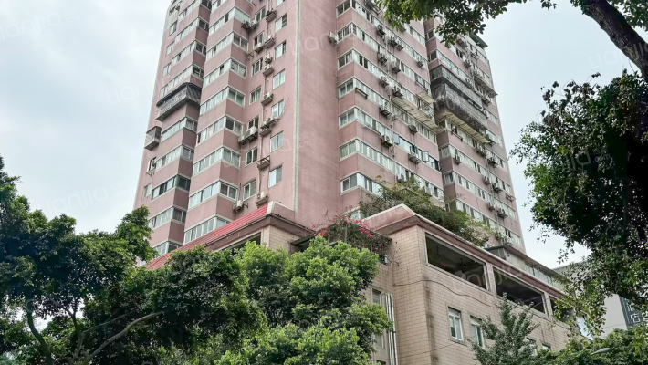 中电大厦外景图