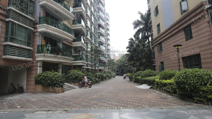 桃源居十四区外景图