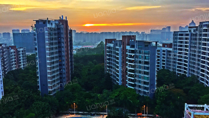 新中银·金色华庭外景图