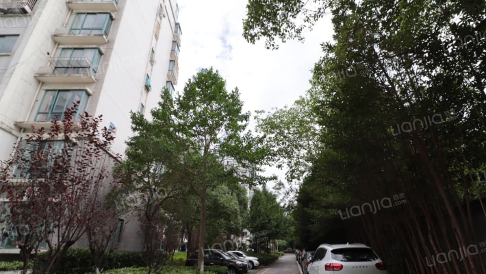 璀璨星湖外景图