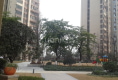 世豪瑞丽10