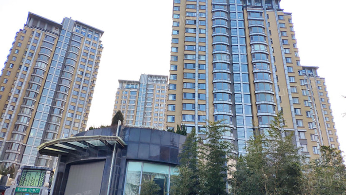 鲁花东上海赋外景图