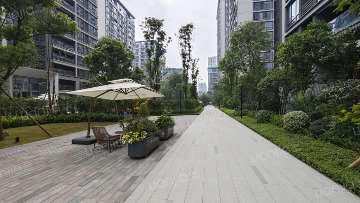 常青藤湖上初晴外景图