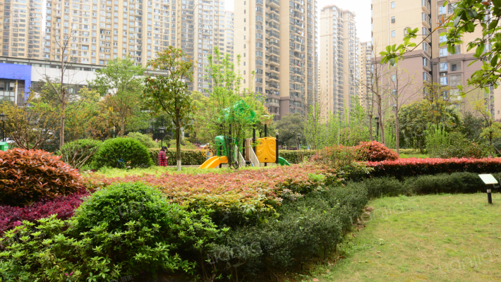 江山帝景哈佛外景图