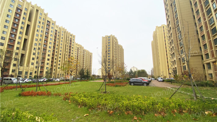 春阳丽景外景图