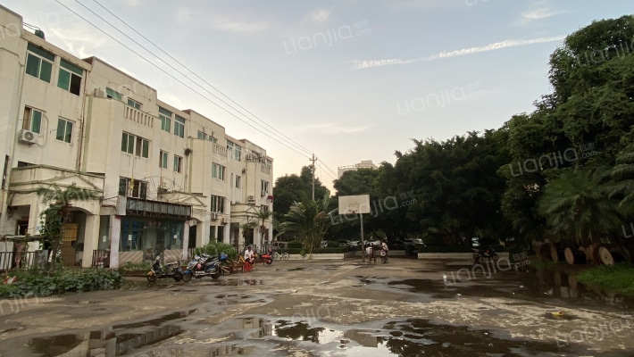 椰景花园外景图