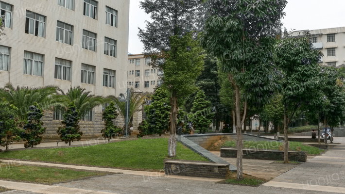 云南华文学院外景图