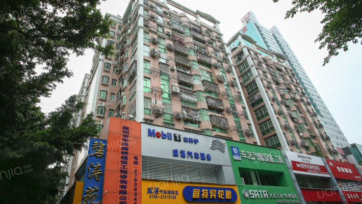 深圳碧涛苑小区 碧涛苑详细信息 二手房 租房 小区顾问 深圳链家 深圳碧涛苑小区 碧涛苑详细信息 二手房 租房 小区顾问 深圳链家