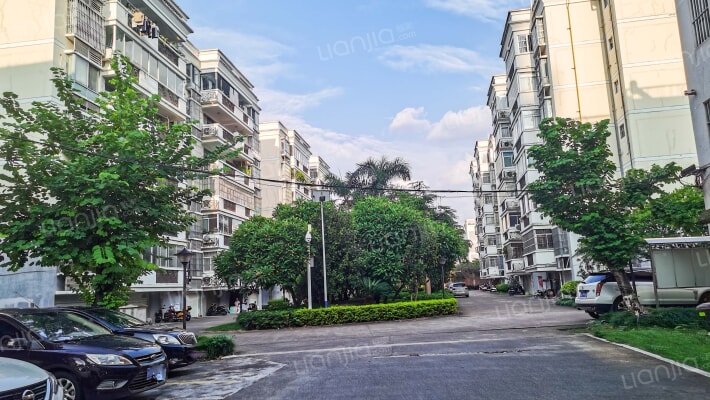 广西税务干部学校职工宿舍外景图