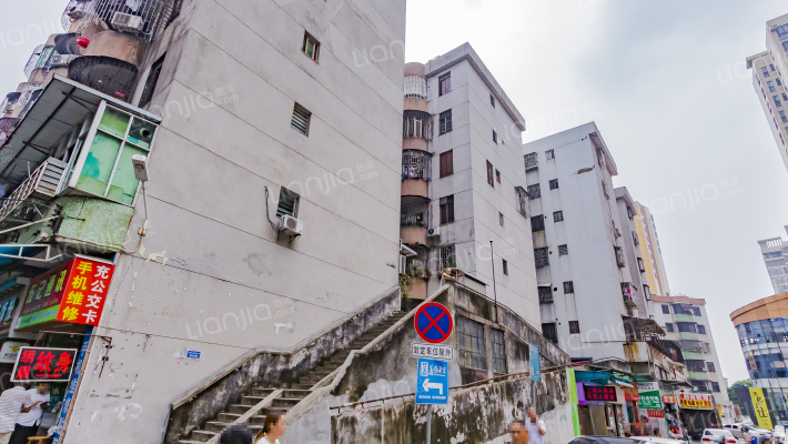 乐从新苑村外景图