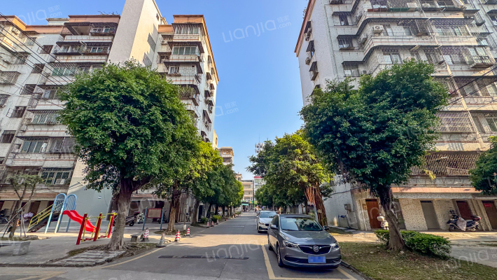 环城西路教师村外景图