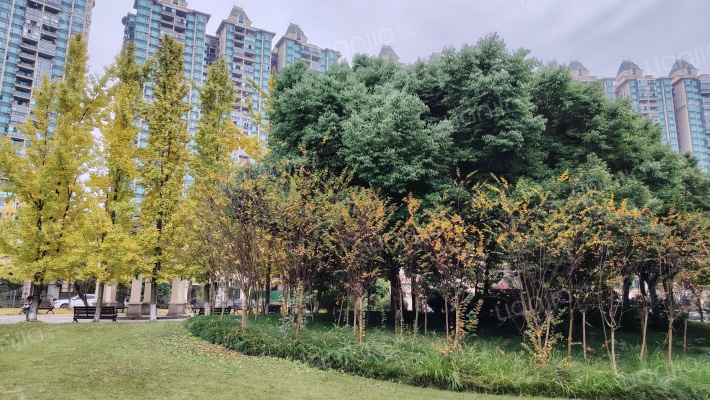 恒大金碧天下外景图