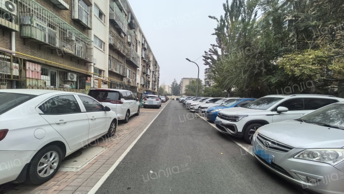 罗江东里外景图