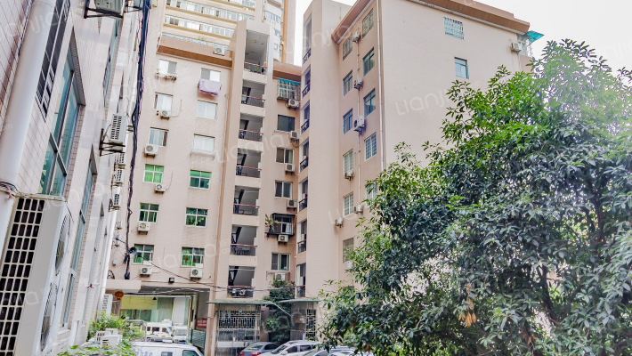 香港路综合大楼外景图