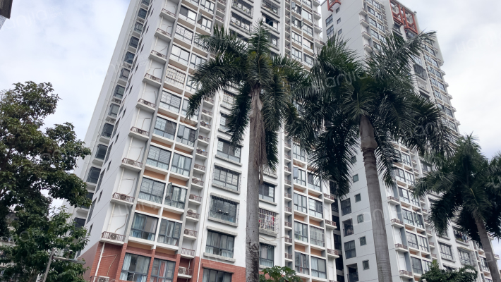 园湖南路26号外景图