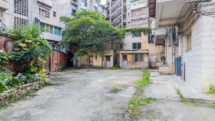 八鸽岩路277号院外景图