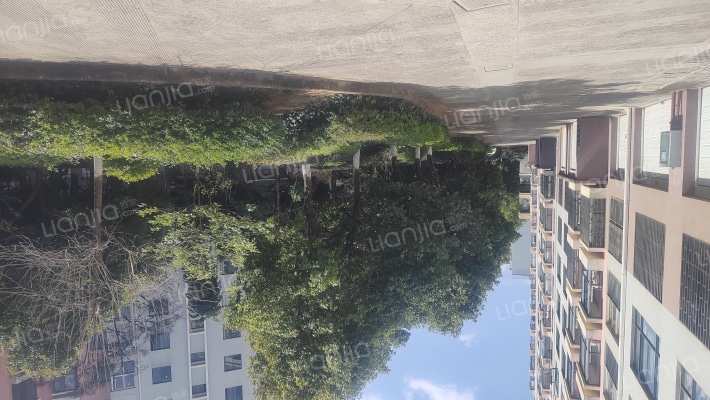 桃李家园北厢苑外景图