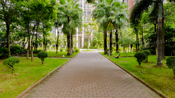 光耀荷兰堡外景图