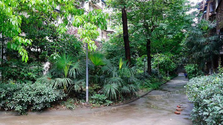 电子科大东院外景图