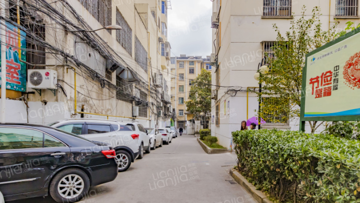 河南西路外景图