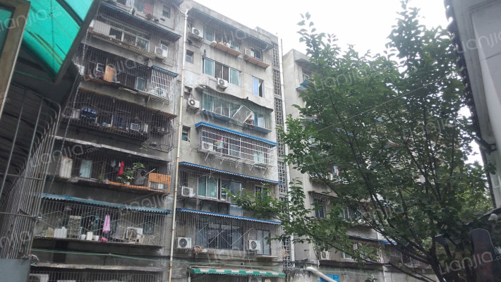 为民路新7号外景图