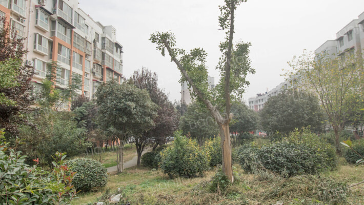 祥泰家园二期外景图