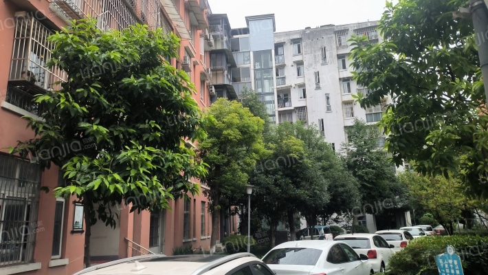 香樟园(问道路)外景图