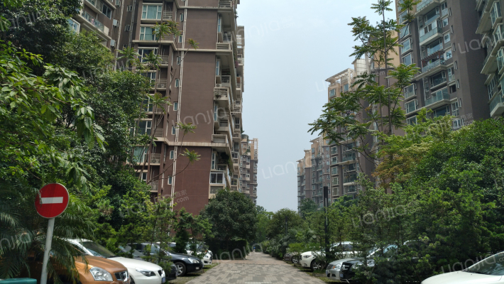 南城都汇汇翠园一期外景图