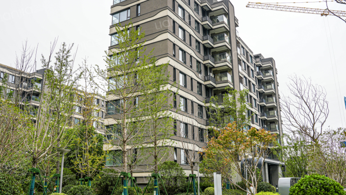 旭辉一江雲著外景图