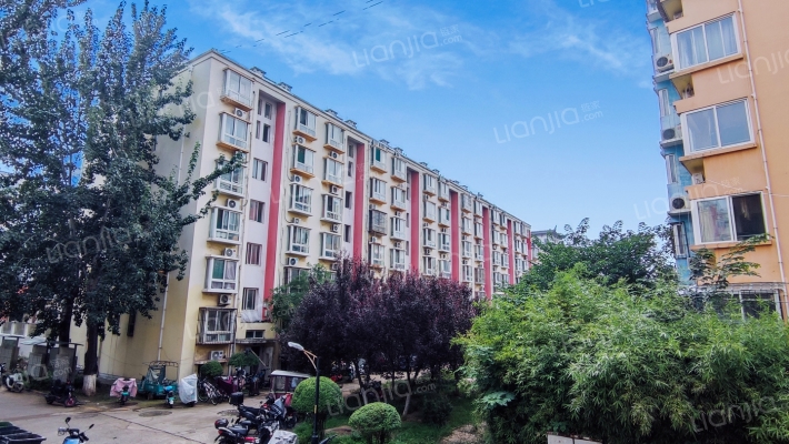 青年居易外景图