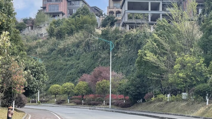 白晶谷25组团外景图