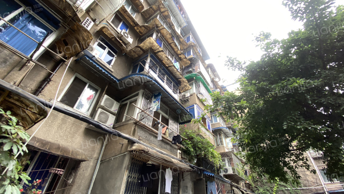 成科路5号外景图