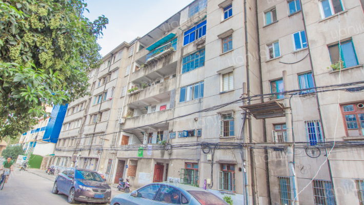 杨环路29号外景图