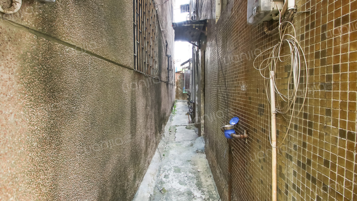 上河泊外景图