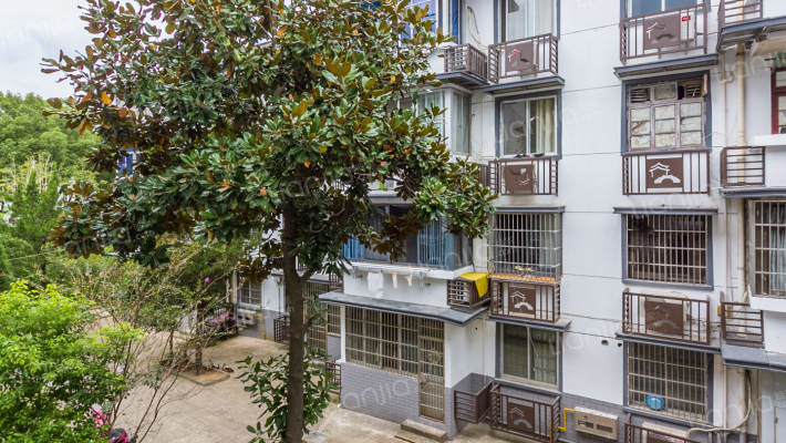 花园新村西区外景图