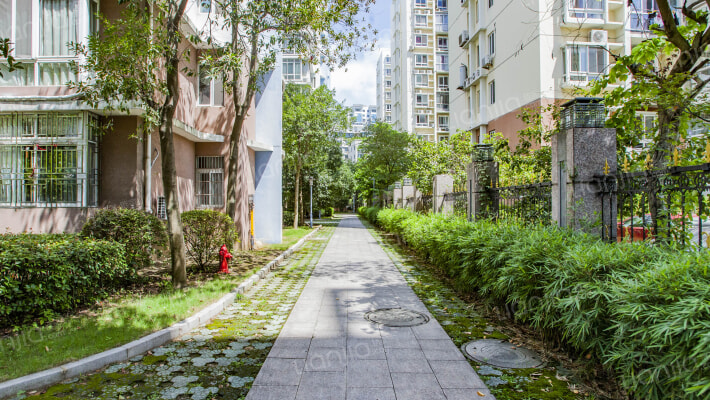 金色家园外景图