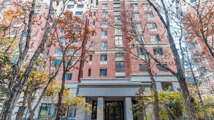 辰能溪树庭院外景图