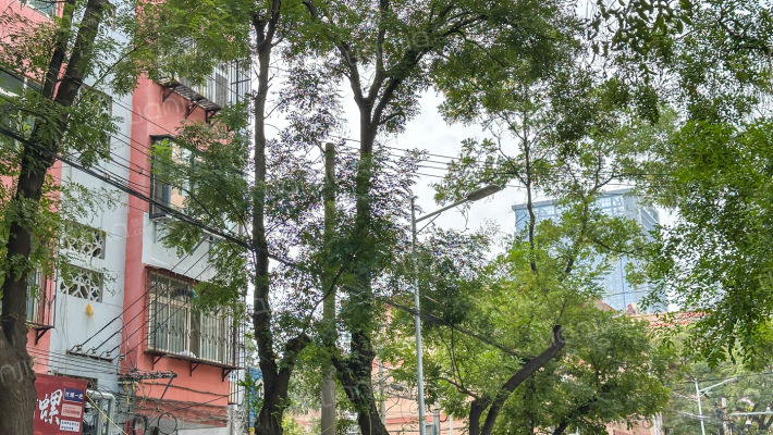 新兴大街外景图