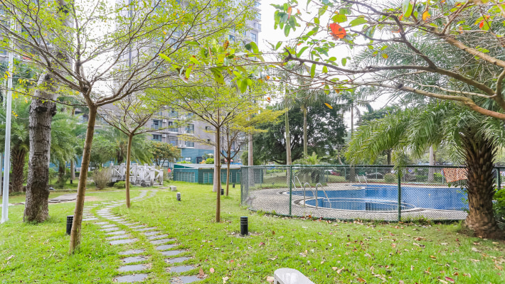 春天海景外景图