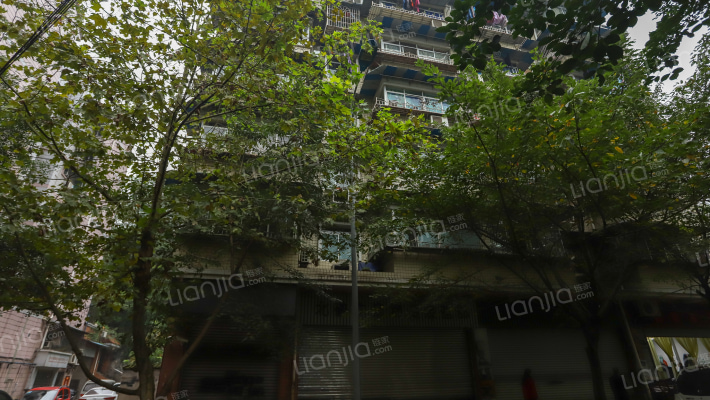 毛背沱132号外景图