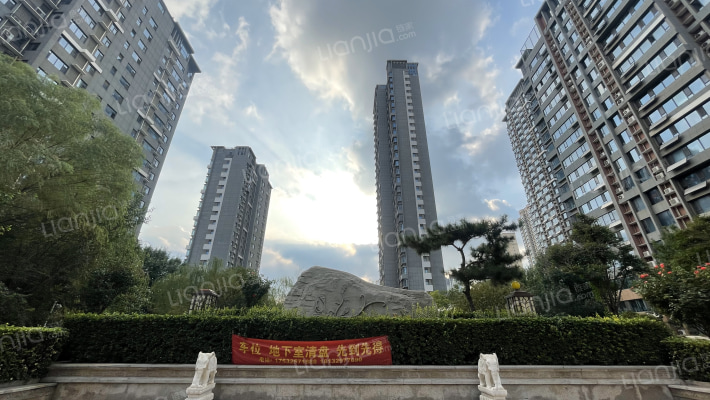 万浩金百合外景图